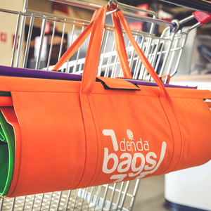 Denda Bags Resistentes y Únicas con Cooler Bag